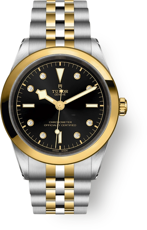 Tudor,Black Bay 31-36-39-41 41mm,41mm,Yellow Gold,Stainless Steel,Black,Automatic,70hours,In-house Caliber,79683,79683-0006