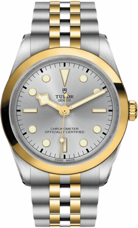 Tudor,Black Bay 31-36-39-41 36mm,36mm,Yellow Gold,Stainless Steel,Silver,Automatic,70hours,In-house Caliber,79643,79643-0002