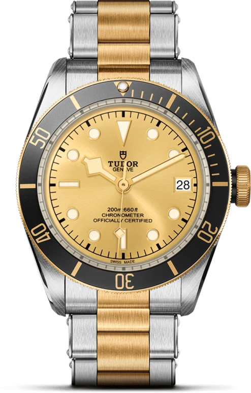 Tudor,Black Bay 41mm,41mm,Yellow Gold,Stainless Steel,Champagne,Automatic,Date,70hours,79733N,79733N-0004