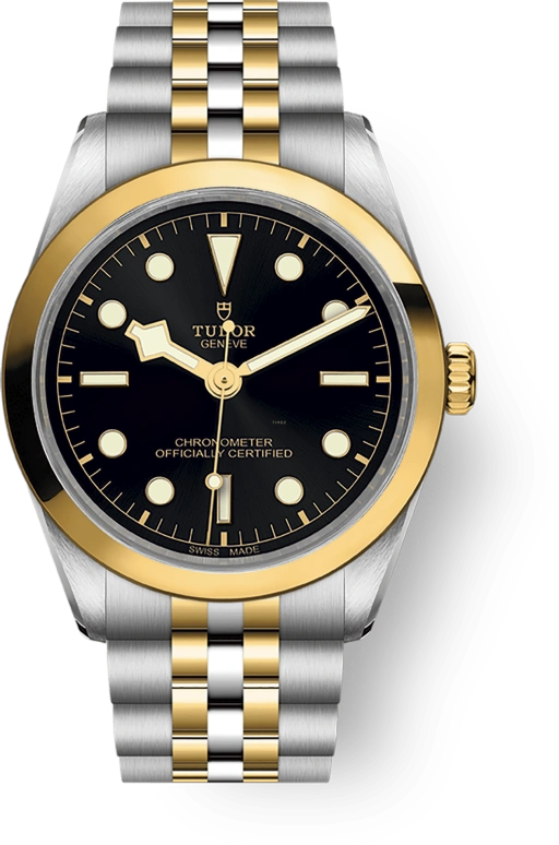 Tudor Black Bay 31-36-39-41 79643-0001