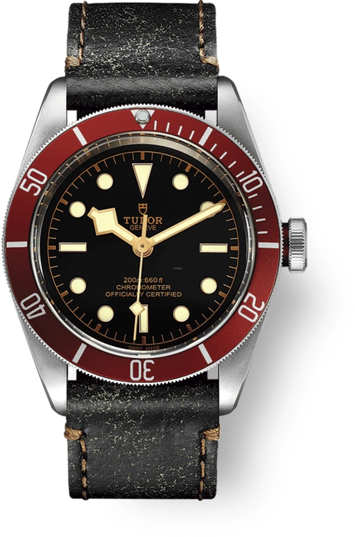 Tudor Black Bay 79230R-0011