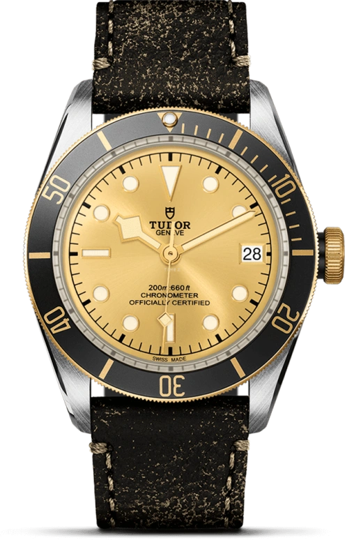 Tudor,Black Bay 41mm,41mm,Yellow Gold,Stainless Steel,Champagne,Automatic,Date,70hours,79733N,79733N-0003