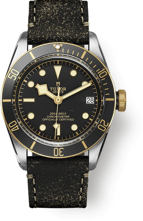 Tudor,Black Bay 41mm,41mm,Yellow Gold,Stainless Steel,Black,Automatic,Date,70hours,79733N,79733N-0007