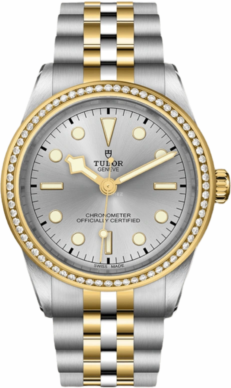 Tudor,Black Bay 31-36-39-41 39mm,39mm,Yellow Gold,Stainless Steel,Silver,Automatic,70hours,In-house Caliber,79673,79673-0002
