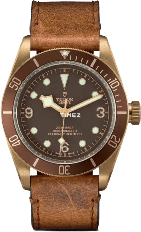 Tudor Black Bay 79250BM-0000