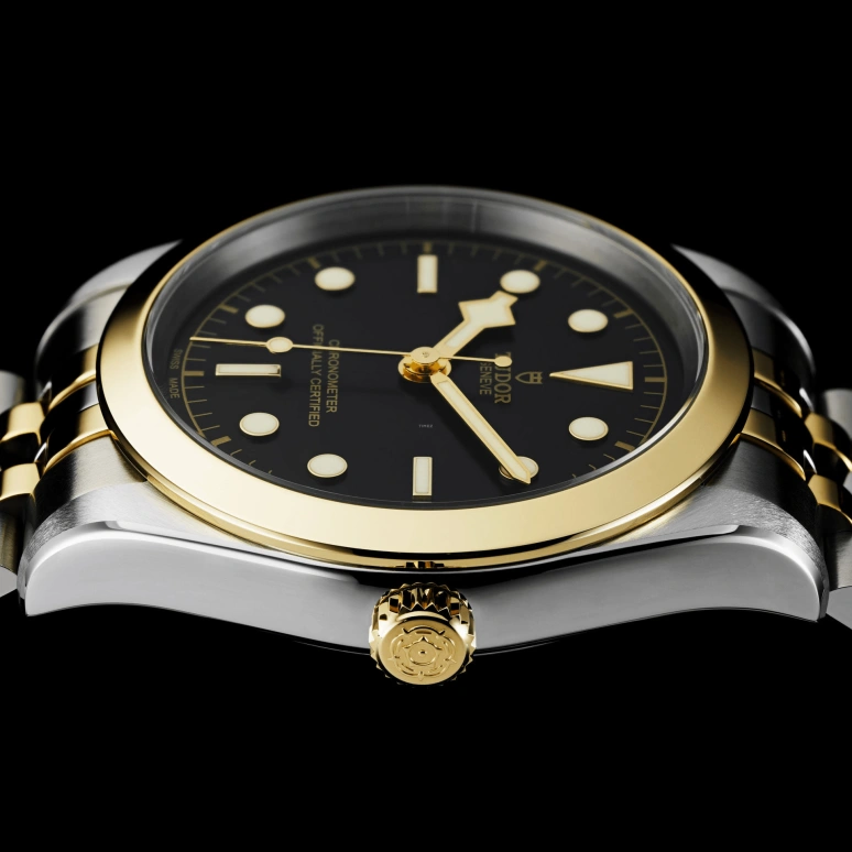 Tudor,Black Bay 31-36-39-41 39mm,39mm,Yellow Gold,Stainless Steel,Black,Automatic,70hours,In-house Caliber,79663,79663-0001