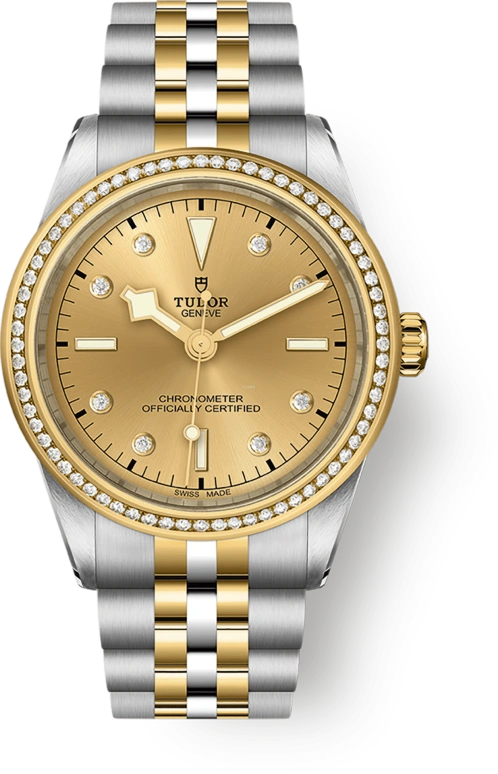Tudor Black Bay 31-36-39-41 79673-0007