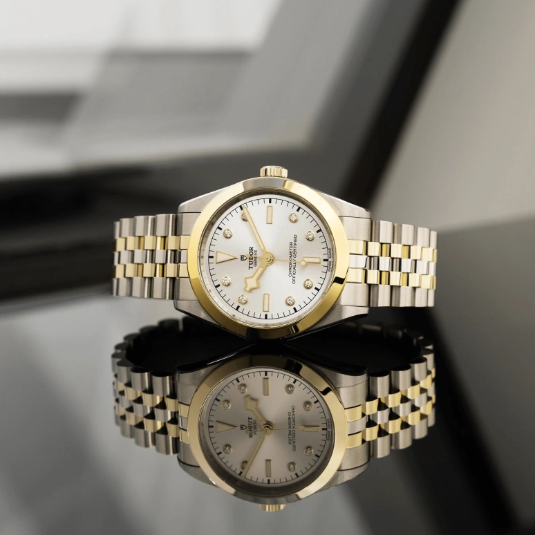 Tudor,Black Bay 31-36-39-41 39mm,39mm,Yellow Gold,Stainless Steel,Silver,Automatic,70hours,In-house Caliber,79663,79663-0007