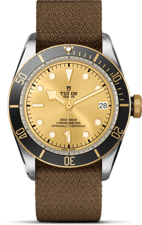Tudor,Black Bay 41mm,41mm,Yellow Gold,Stainless Steel,Champagne,Automatic,Date,70hours,79733N,79733N-0006
