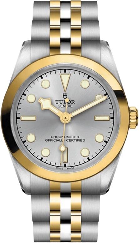 Tudor,Black Bay 31-36-39-41 31mm,31mm,Yellow Gold,Stainless Steel,Silver,Automatic,50hours,In-house Caliber,79603,79603-0002