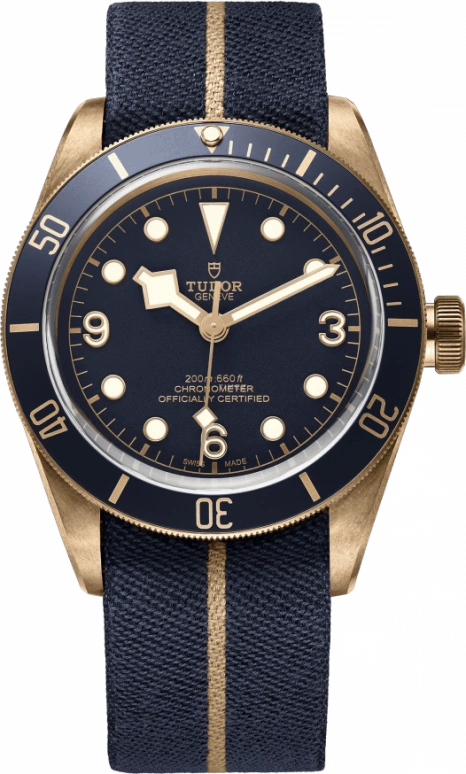 Tudor Black Bay 79250BB-0001
