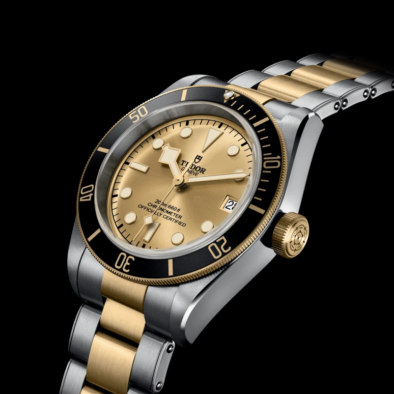 Tudor,Black Bay 41mm,41mm,Yellow Gold,Stainless Steel,Champagne,Automatic,Date,70hours,79733N,79733N-0004