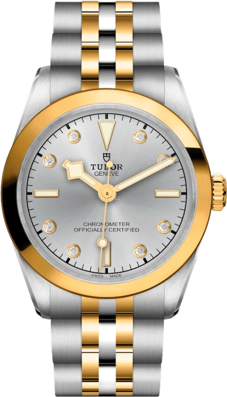 Tudor,Black Bay 31-36-39-41 31mm,31mm,Yellow Gold,Stainless Steel,Silver,Automatic,50hours,In-house Caliber,79603,79603-0007
