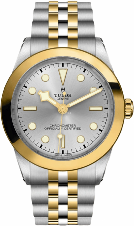 Tudor,Black Bay 31-36-39-41 39mm,39mm,Yellow Gold,Stainless Steel,Silver,Automatic,70hours,In-house Caliber,79663,79663-0002
