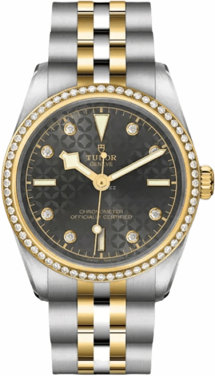 Tudor,Black Bay 31-36-39-41 31mm,31mm,Yellow Gold,Stainless Steel,Grey,Automatic,50hours,In-house Caliber,79613,79613-0003