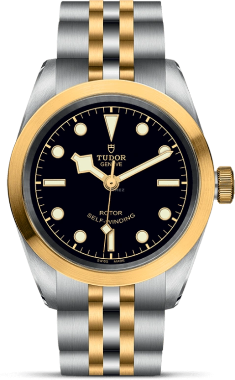 Tudor Black Bay 31-36-39-41 79583-0001