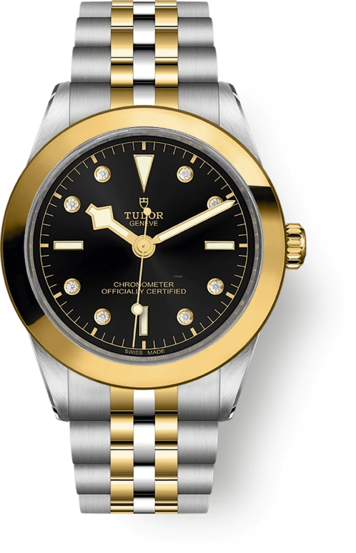 Tudor,Black Bay 31-36-39-41 39mm,39mm,Yellow Gold,Stainless Steel,Black,Automatic,70hours,In-house Caliber,79663,79663-0006