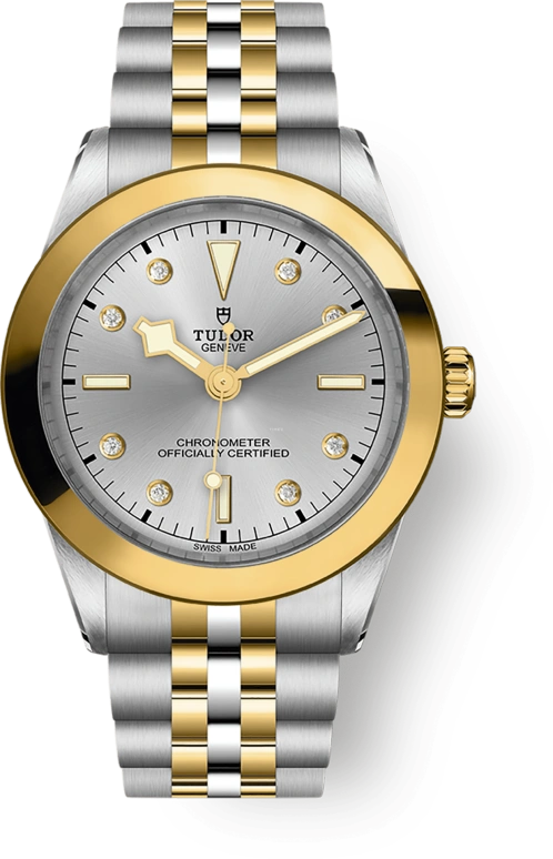 Tudor,Black Bay 31-36-39-41 39mm,39mm,Yellow Gold,Stainless Steel,Silver,Automatic,70hours,In-house Caliber,79663,79663-0007