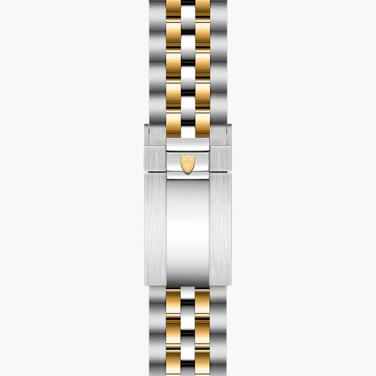Tudor,Black Bay 31-36-39-41 39mm,39mm,Yellow Gold,Stainless Steel,Silver,Automatic,70hours,In-house Caliber,79663,79663-0007