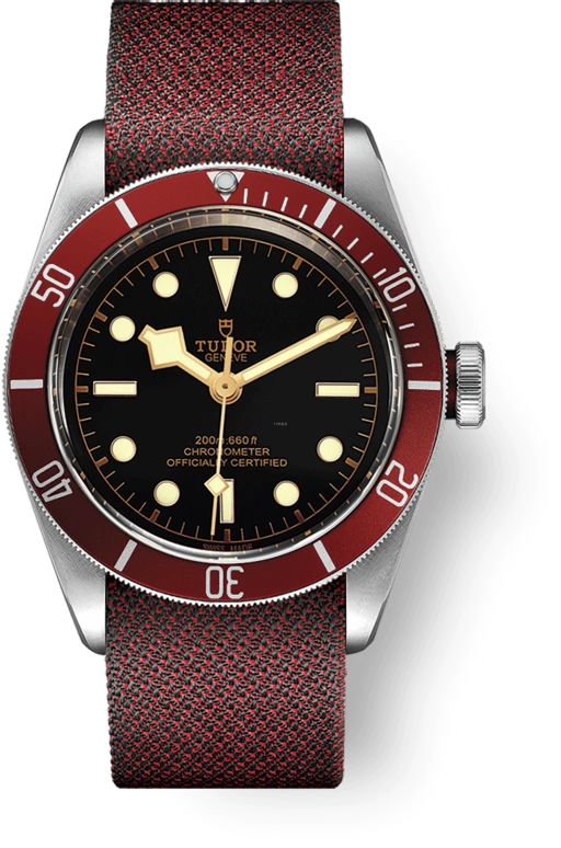 Tudor Black Bay 79230R-0009
