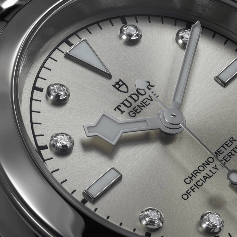 Tudor,Black Bay 31-36-39-41 39mm,39mm,Stainless Steel,Champagne,Automatic,70hours,In-house Caliber,79660,79660-0006