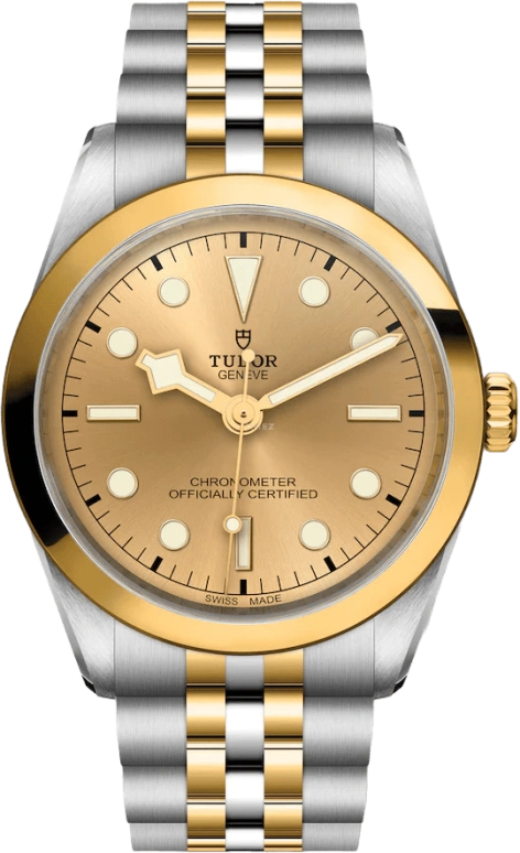 Tudor,Black Bay 31-36-39-41 36mm,36mm,Yellow Gold,Stainless Steel,Champagne,Automatic,70hours,In-house Caliber,79643,79643-0005