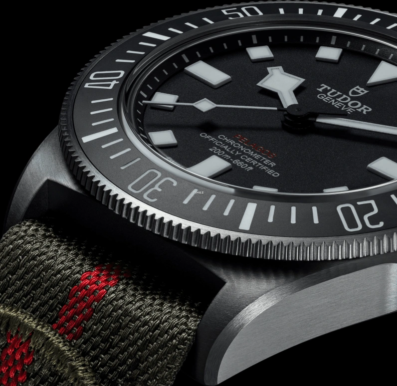 Tudor,Pelagos FXD 42mm,42mm,Titanium,Black,Automatic,70hours,In-house Caliber,25717N,25717N-0001