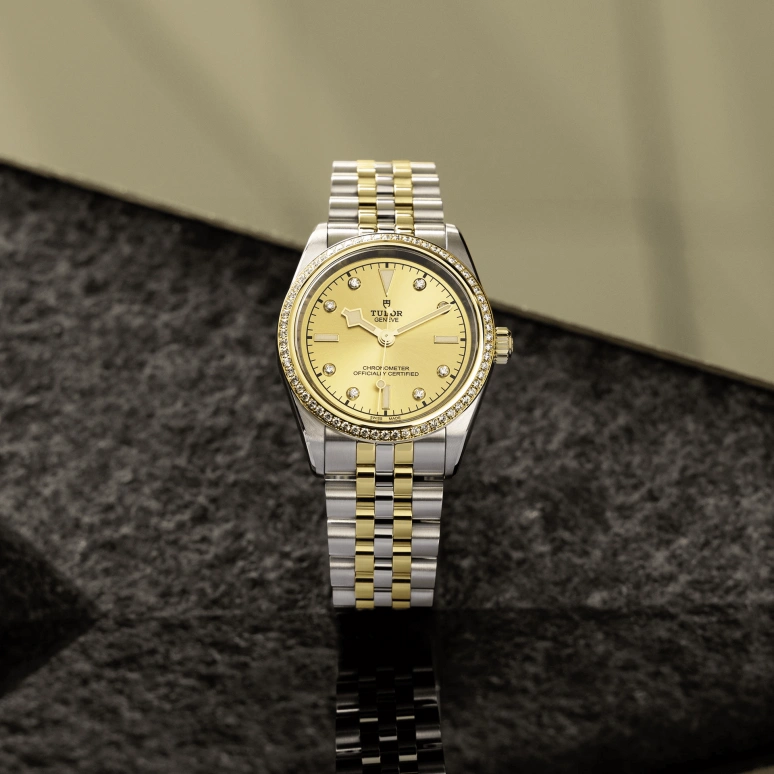 Tudor,Black Bay 31-36-39-41 36mm,36mm,Yellow Gold,Stainless Steel,Champagne,Automatic,70hours,In-house Caliber,79653,79653-0007