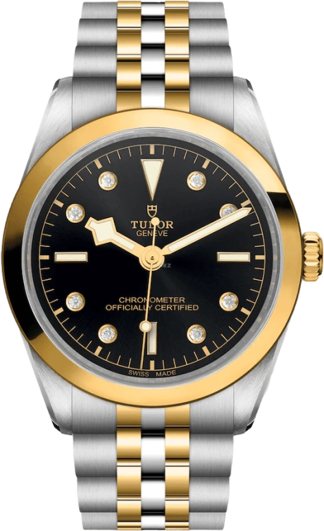 Tudor,Black Bay 31-36-39-41 36mm,36mm,Yellow Gold,Stainless Steel,Silver,Automatic,70hours,In-house Caliber,79643,79643-0006