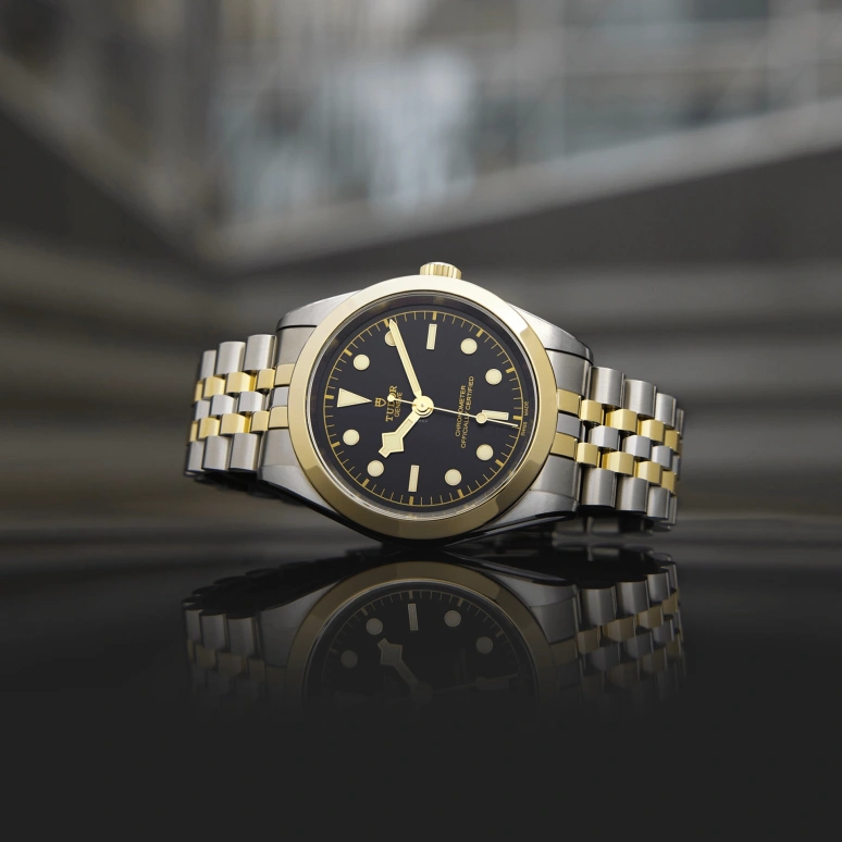 Tudor,Black Bay 31-36-39-41 39mm,39mm,Yellow Gold,Stainless Steel,Black,Automatic,70hours,In-house Caliber,79663,79663-0001