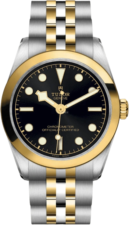 Tudor,Black Bay 31-36-39-41 31mm,31mm,Yellow Gold,Stainless Steel,Black,Automatic,50hours,In-house Caliber,79603,79603-0001