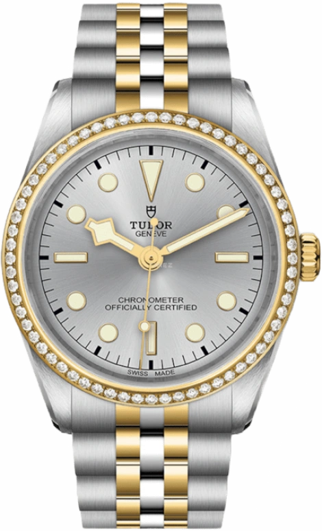 Tudor,Black Bay 31-36-39-41 36mm,36mm,Yellow Gold,Stainless Steel,Silver,Automatic,70hours,In-house Caliber,79653,79653-0002