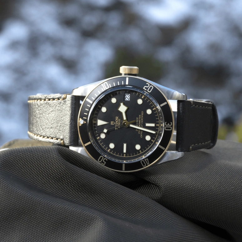 Tudor,Black Bay 41mm,41mm,Yellow Gold,Stainless Steel,Black,Automatic,Date,70hours,79733N,79733N-0007