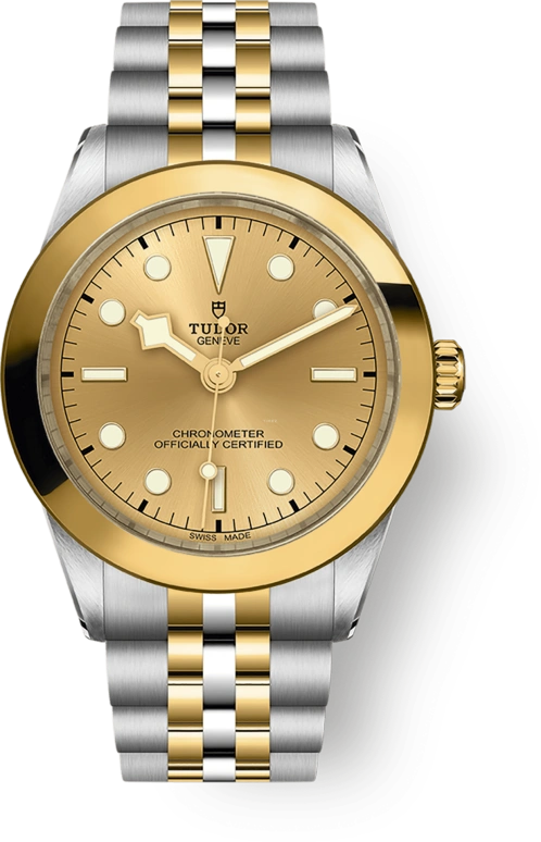 Tudor,Black Bay 31-36-39-41 39mm,39mm,Yellow Gold,Stainless Steel,Champagne,Automatic,70hours,In-house Caliber,79663,79663-0005