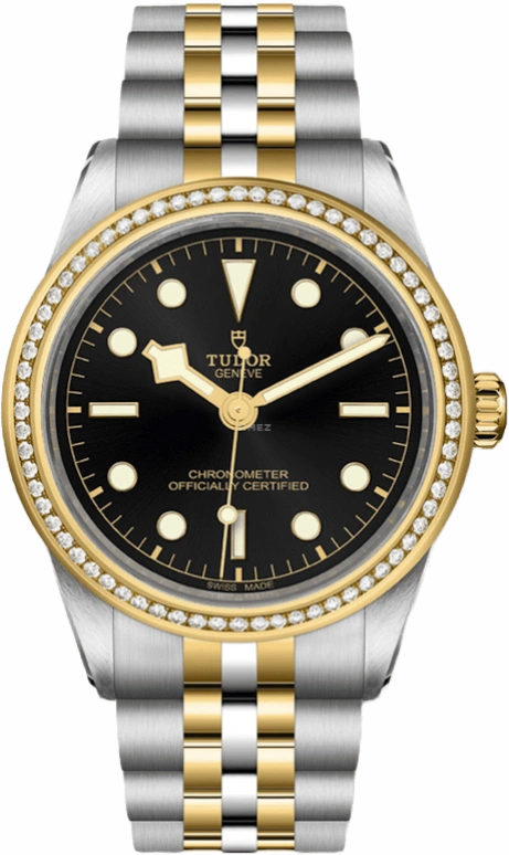 Tudor Black Bay 31-36-39-41 79673-0001