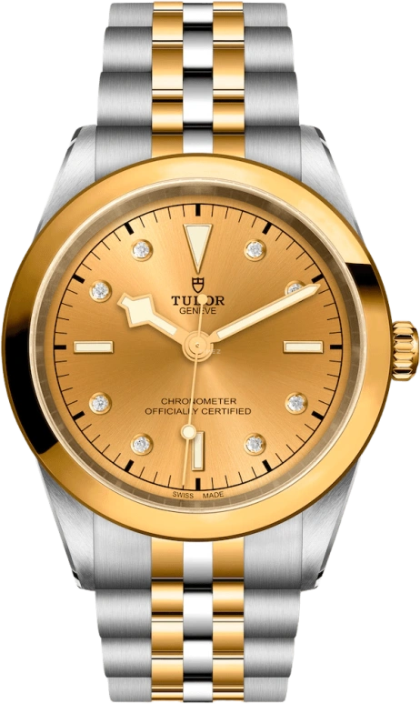 Tudor,Black Bay 31-36-39-41 41mm,41mm,Yellow Gold,Stainless Steel,Silver,Automatic,70hours,In-house Caliber,79683,79683-0008