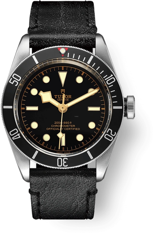 Tudor Black Bay 79230N-0008
