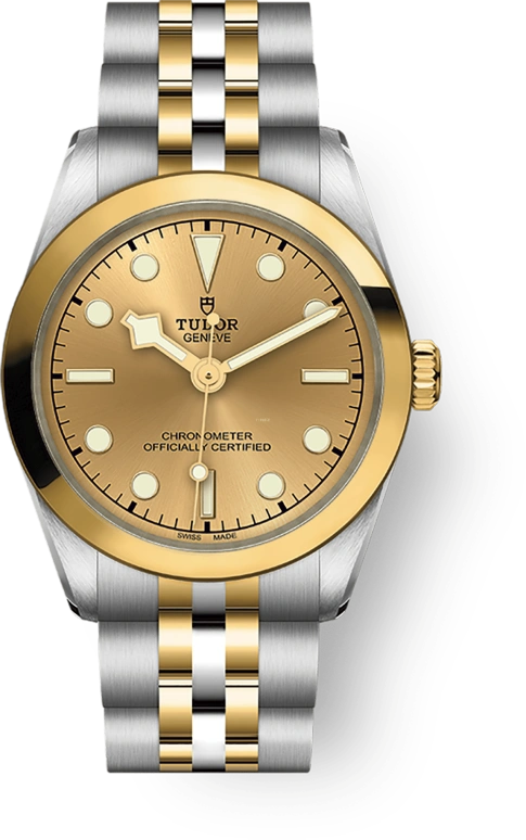 Tudor Black Bay 31-36-39-41 79603-0005