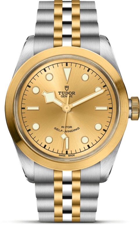 Tudor Black Bay 31-36-39-41 79543-0002