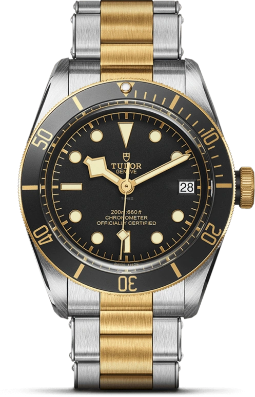 Tudor,Black Bay 41mm,41mm,Yellow Gold,Stainless Steel,Black,Automatic,Date,70hours,79733N,79733N-0008