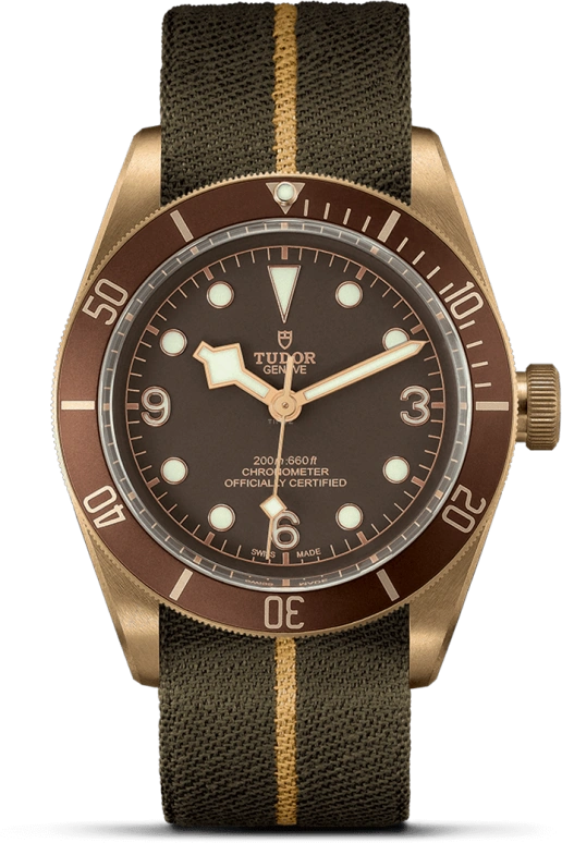 Tudor Black Bay 79250BM-0004