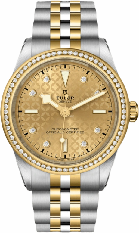 Tudor,Black Bay 31-36-39-41 39mm,39mm,Yellow Gold,Stainless Steel,Champagne,Automatic,70hours,In-house Caliber,79673,79673-0004