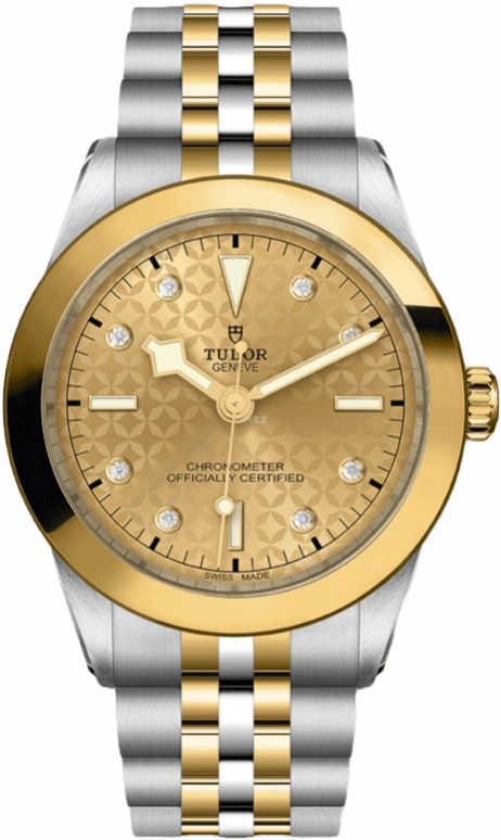 Tudor,Black Bay 31-36-39-41 39mm,39mm,Yellow Gold,Stainless Steel,Champagne,Automatic,70hours,In-house Caliber,79663,79663-0004