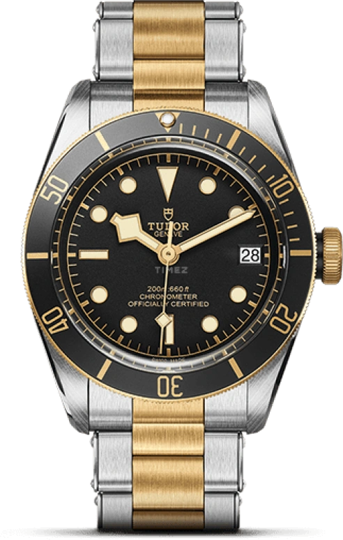 Tudor Black Bay 79733N-0002