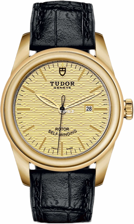 Tudor,Glamour 31mm,31mm,Yellow Gold,Champagne,Automatic,Day,38hours,53008,53008-0013