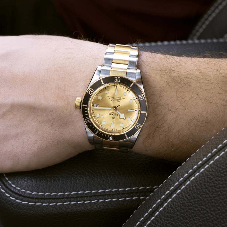 Tudor,Black Bay 41mm,41mm,Yellow Gold,Stainless Steel,Champagne,Automatic,Date,70hours,79733N,79733N-0004