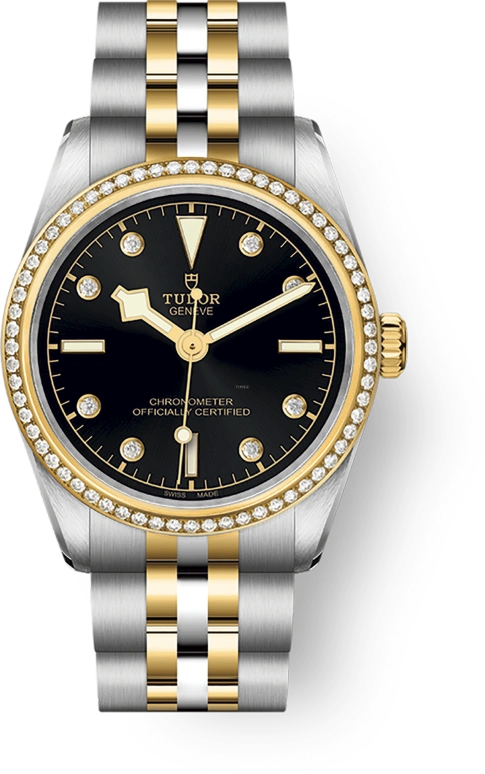 Tudor Black Bay 31-36-39-41 79613-0005