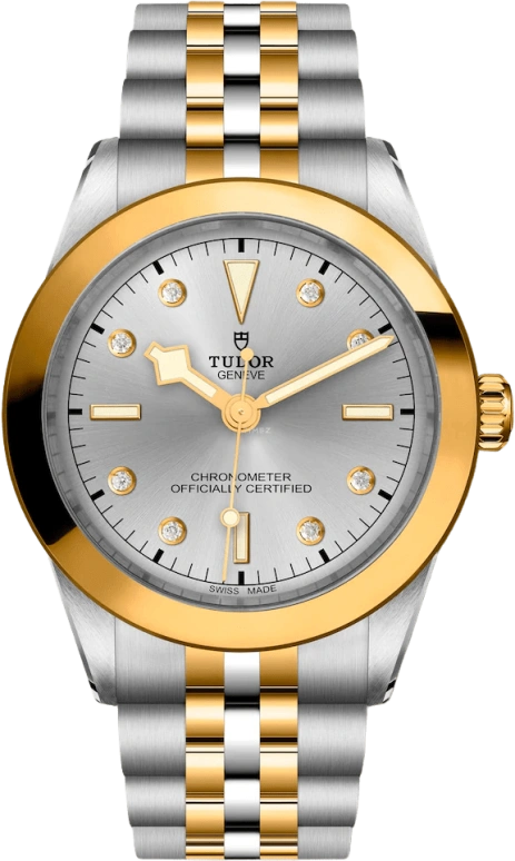 Tudor,Black Bay 31-36-39-41 39mm,39mm,Yellow Gold,Stainless Steel,Silver,Automatic,70hours,In-house Caliber,79663,79663-0007