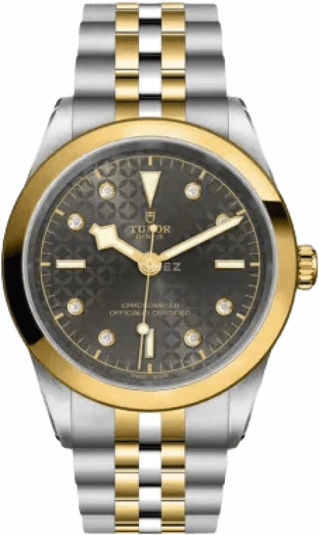 Tudor,Black Bay 31-36-39-41 41mm,41mm,Yellow Gold,Stainless Steel,Grey,Automatic,70hours,In-house Caliber,79683,79683-0003