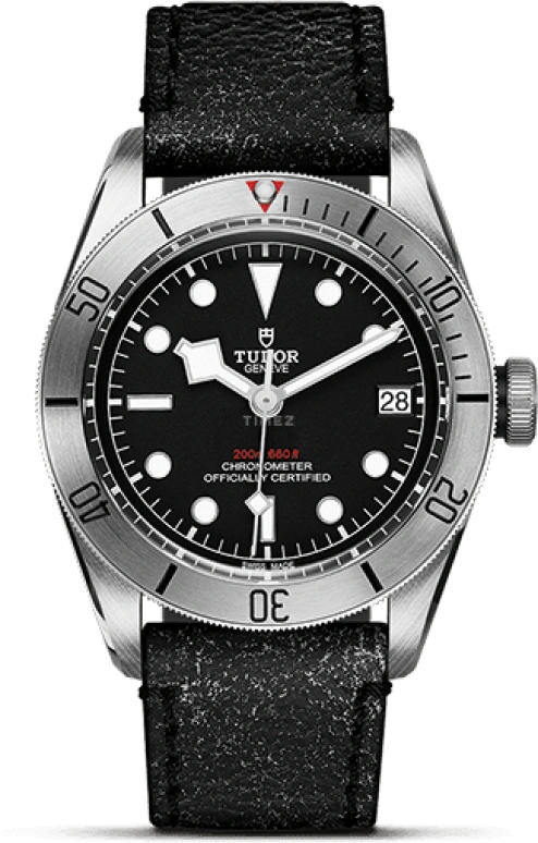Tudor Black Bay 79730-0003